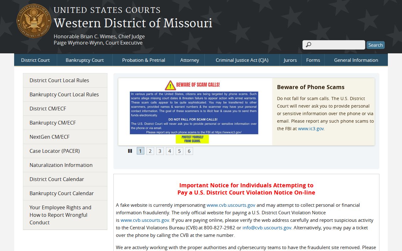 Boone County federal criminal records Western District of Missouri